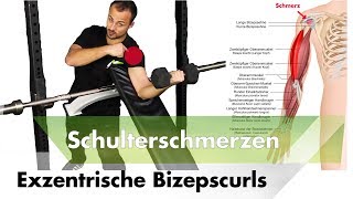 Exentrisches Bizepstraining bei Sehnenentzündung  Schulterschmerzen amp Impingement Masterplan [upl. by Orrocos363]