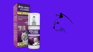 Before You Buy FELIWAY Cat Calming Pheromone Spray [upl. by Naloc]