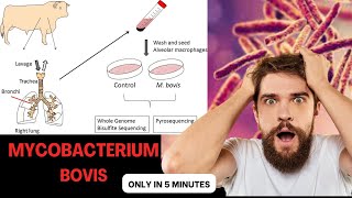 mycobacterium microbiology lecture mycobacterium bovis Easy Microbiology [upl. by Retsbew]