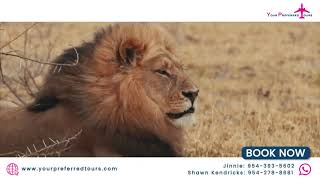 Trip to Africa  South Africa  Botswana 🦁  Your Preferred Tours [upl. by Solly]