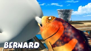 Bernard Bear  Fish Bite AND MORE  Cartoons for Children [upl. by Emelda206]