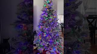 75 Foot Pre Lit Bellmont Flocked tree at Walmart T56 [upl. by Asaret]