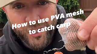 A mega tactic to catch carp  PVA mesh bag [upl. by Tressa]