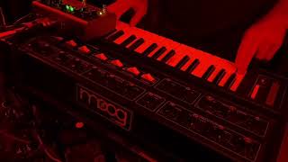 Solo Jam 1 with Micro Moog amp Strymon Volante [upl. by Earehs]