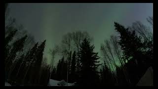 North Point Cottage Northern Lights November 9 2024 [upl. by Lladnor]