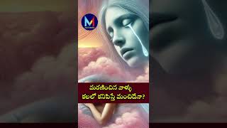 మరణించిన వాళ్ళు కలలో కనిపిస్తే మంచిదేనా  interestingfacts my3media viralvideo viralshorts [upl. by Ala]