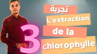 Lextraction de la chlorophylle من أهم التجارب التي ينبغي ضبطها [upl. by Rabush17]