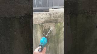 Hose Water DESTROYS muck on side of wall trending shorts satisfying powerwashing asmrsounds [upl. by Natehc]