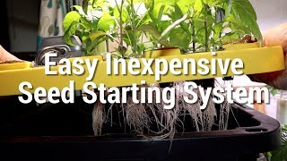 How to make a hydroponic seed starting system cheap and easy [upl. by Harrad897]