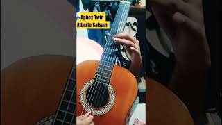 Aphex Twin  Alberto Balsam guitar cover [upl. by Annaynek428]