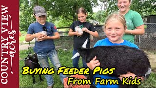 Hog Hauling Day Picking up this Years Feeder Pigs [upl. by Gentilis711]