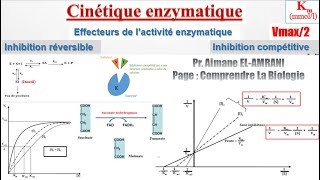 Séance 11  Effecteurs de l’activité enzymatique  Inhibition compétitive [upl. by Arednaxela]