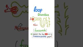 Loop Diuretics  Kidney  Pharmacology physiology anatomy biology nurse doctor mbbs science [upl. by Halilak253]