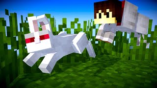 Minecraft ABER als Wolf  LarsLP [upl. by At]