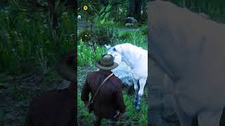 RDR 2  Amazing cinematography Pouring Forth Oil  IV  Part 46 shorts rdr2 reddeadredemtion2 [upl. by Crandell]