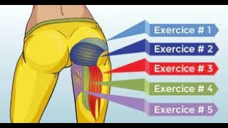 BEST EXERCICE FESSIER amp JAMBES MUSCLER MOTIVATIOON [upl. by Alyakcm611]