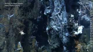 Hydrothermal vents in the deep sea [upl. by Pardew]