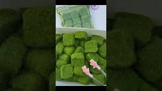 Let’s plant the grass squishy diy grass satisfying stressrelief [upl. by Atterrol]