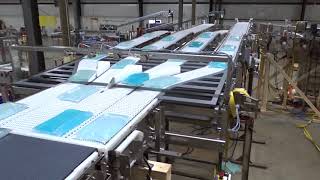 Pouch Handling Conveyor by Nercon [upl. by Gnouc]