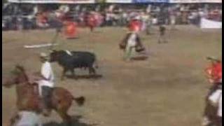 Colombian bull fight [upl. by Melda]