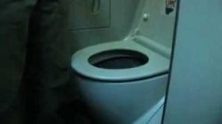 toilettes avion demonstration [upl. by Tooley715]