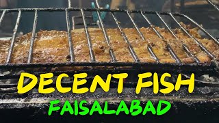 Decent Fish Vlog 😎😂  Faisalabad  Hassan Zaidi Vlogs  Must Watch Till End [upl. by Tj]