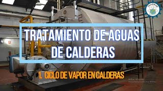 Tratamiento de aguas en calderas Ciclo de vapor en calderas 14 [upl. by Enelrahc]