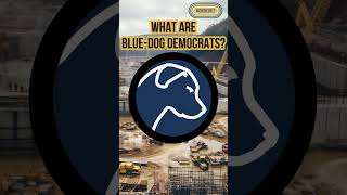 What Are BlueDog Democrats [upl. by Llereg443]