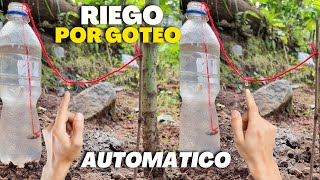 Sistema de Riego Automático por Goteo 💧 Casero para hidratar plantas árboles Frutales 🍀☘ [upl. by Atalanta]