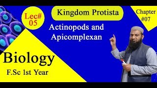 Biology Ch07Lecture05 Actinopods and Apicomplexan FSc 1st Year [upl. by Annij]