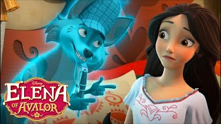 Zuzo Knows Why Elenas Dream Came True  Elena of Avalor  Dreamcatcher HD [upl. by Iadam]