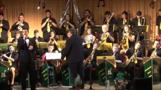 Meggyes Csaba amp Lengyeltóti Brass Band  My Way 2015 [upl. by Aicittel]