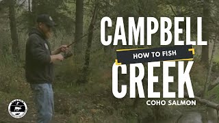 How to fish for coho salmon at Campbell Creek in Anchorage AK [upl. by Ardnalac]