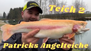 Forellen angeln im Frühling  Lachs Gold und portis bei Patriks angelteiche  ultralight bringst [upl. by Egas]