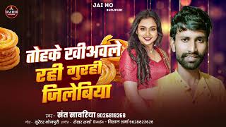 संत सांवरिया bhojpuri song गुरही जिलेबी ददरी मेला स्पेशल सांग  super hit songs [upl. by Ecirtap]