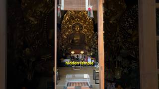 Lets explore Hasedera temple🇯🇵 japantravel hasedera kamakura [upl. by Oisorbma]