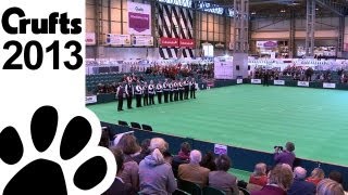 Obedience World Cup  Team Procession  Day 4  Crufts 2013 [upl. by Ppik53]