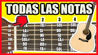 🎸Todas las notas en la GUITARRA  Notas musicales en la guitarra teoría musical [upl. by Anibla]