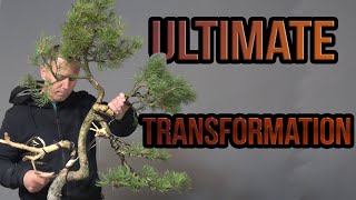 Ultimate transformation [upl. by Artek]