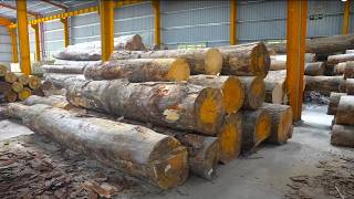 GIANT WOOD LOGS to WOODEN PALLETS The Amazing Process in VIETNAM [upl. by Jonme]