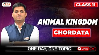 Chordata II  Animal Kingdom  class 11  Biology  One Day One Topic [upl. by Warram]