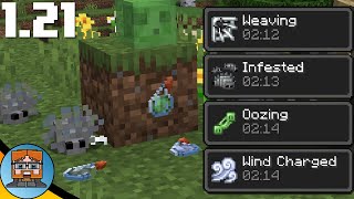 4 New STRANGE Potions Added to Minecraft 121 [upl. by Amada]