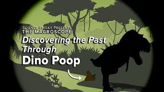 Discovering the Past Through Dino Poop [upl. by Ayikal88]