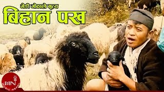 विहानी र पख त्यै झुल्के घाम  भेडी गोठाले नृत्य  BHEDI GOTHALE NRITYA  BIHANI PAKHA ARUN UPATYAKA [upl. by Massab750]