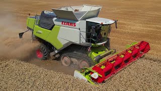 Tarwe dorsen  Wheat harvest  NEW  Claas Trion 730 Terra Trac  Weizen dreschen  Graanoogst 2024 [upl. by Gale573]