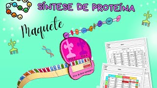 Síntese de proteínas Maquete [upl. by Alyhc231]