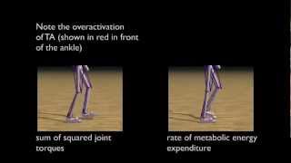 Optimizing Locomotion Controllers Using BiologicallyBased Actuators and Objectives SIGGRAPH 2012 [upl. by Matthias]