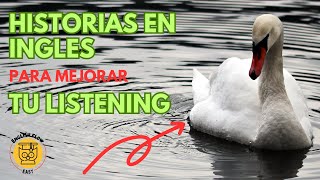 🔴 Historias CORTAS en INGLES para APRENDER Fácilmente 🦢The Ugly Duckling [upl. by Kalindi]