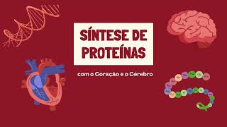 A Síntese de Proteínas [upl. by Baillieu]