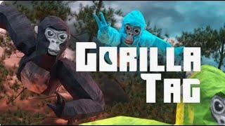 Playing with fans on gorilla tag [upl. by Anitsyrk676]